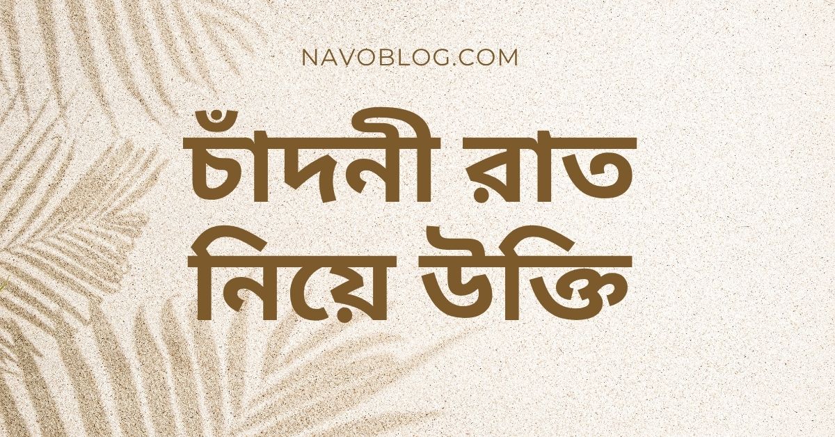 চাঁদনী রাত নিয়ে উক্তি