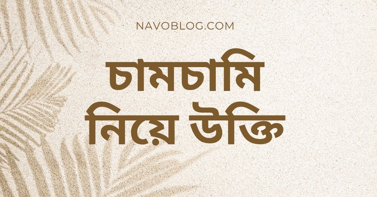 চামচামি নিয়ে উক্তি