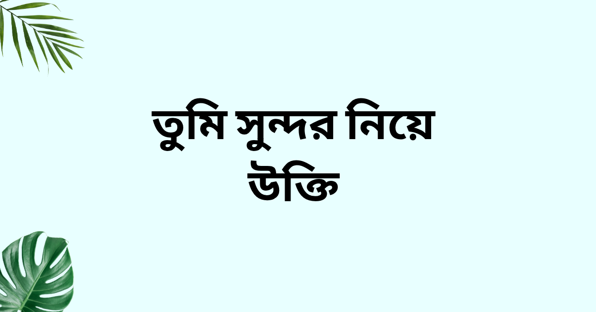 তুমি সুন্দর নিয়ে উক্তি