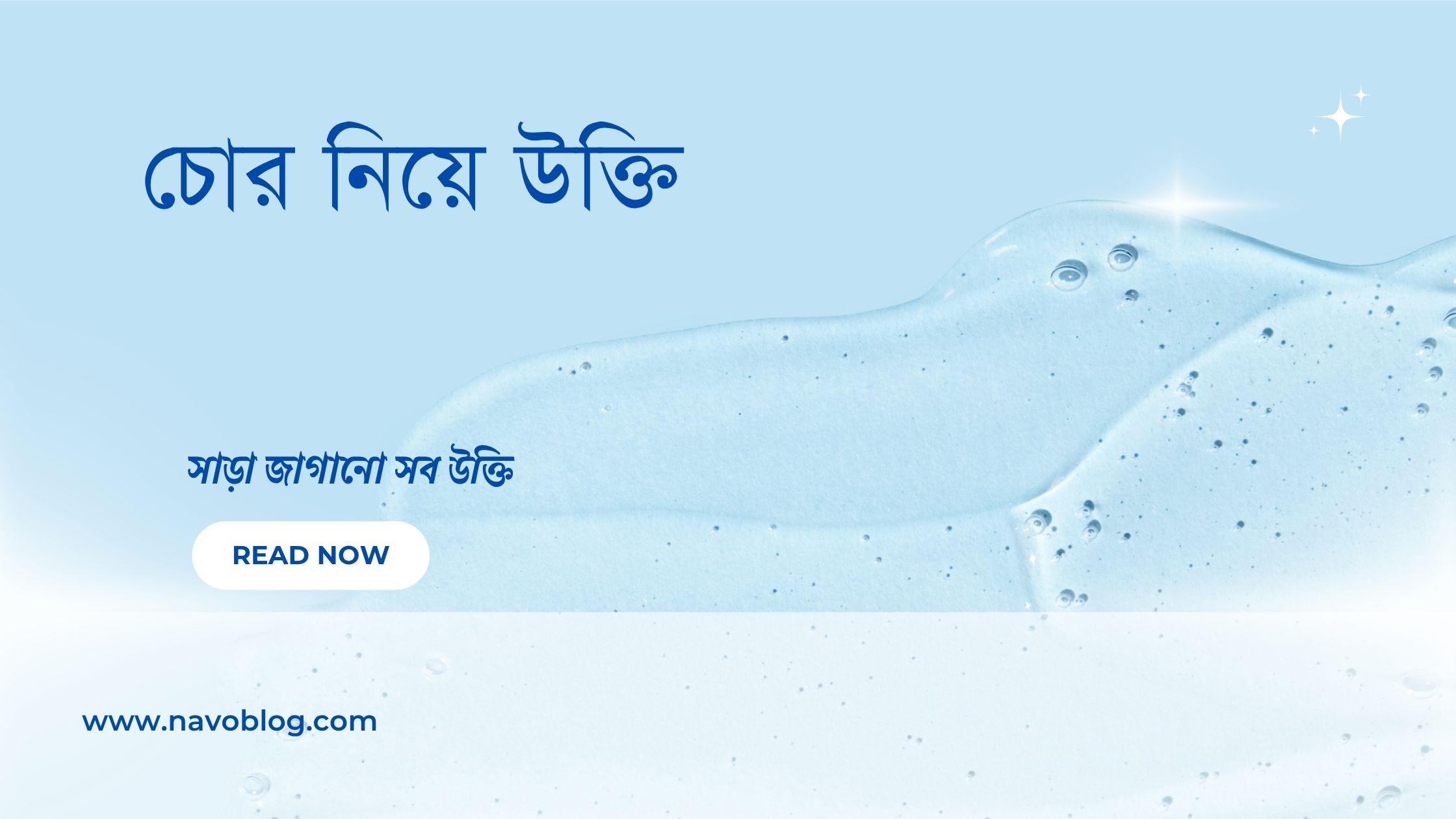 চোর নিয়ে উক্তি - বাছাইকৃত সেরা উক্তি ক্যাপশন 1 চোর নিয়ে উক্তি