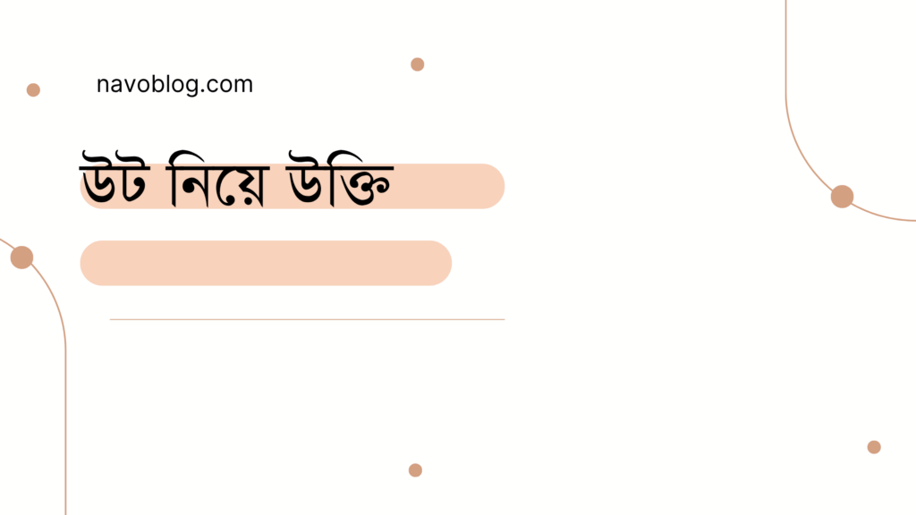 উট নিয়ে উক্তি - বাছাইকৃত সেরা উক্তি ক্যাপশন 1 উট নিয়ে উক্তি