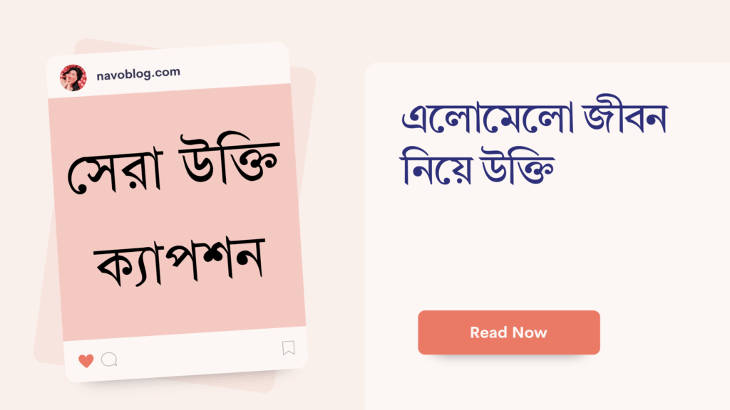 এলোমেলো জীবন নিয়ে উক্তি