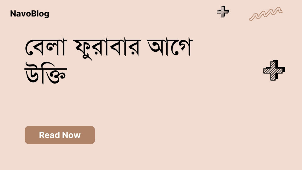 বেলা ফুরাবার আগে উক্তি